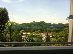 Blk 339 Clementi Avenue 5 (Clementi), HDB 3 Rooms #80903852
